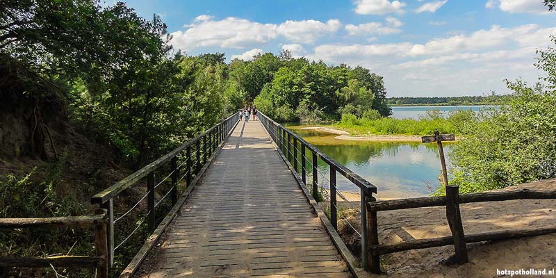 Houten brug over een bosrijk meerlandschap.